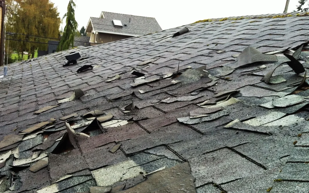 Storm Damage Roofs – What Should I Do?