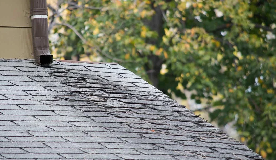 Most Common Reasons Your Roof Can Rot